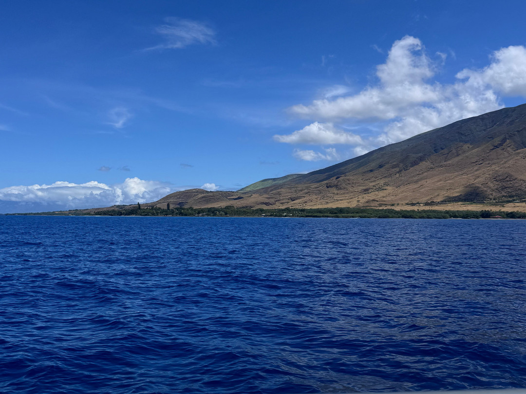 Maui Custom Charters-玛阿拉也亚必去景点