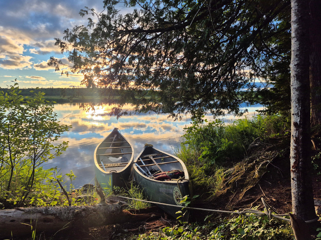 Canoe The Wild-Weston必去景点