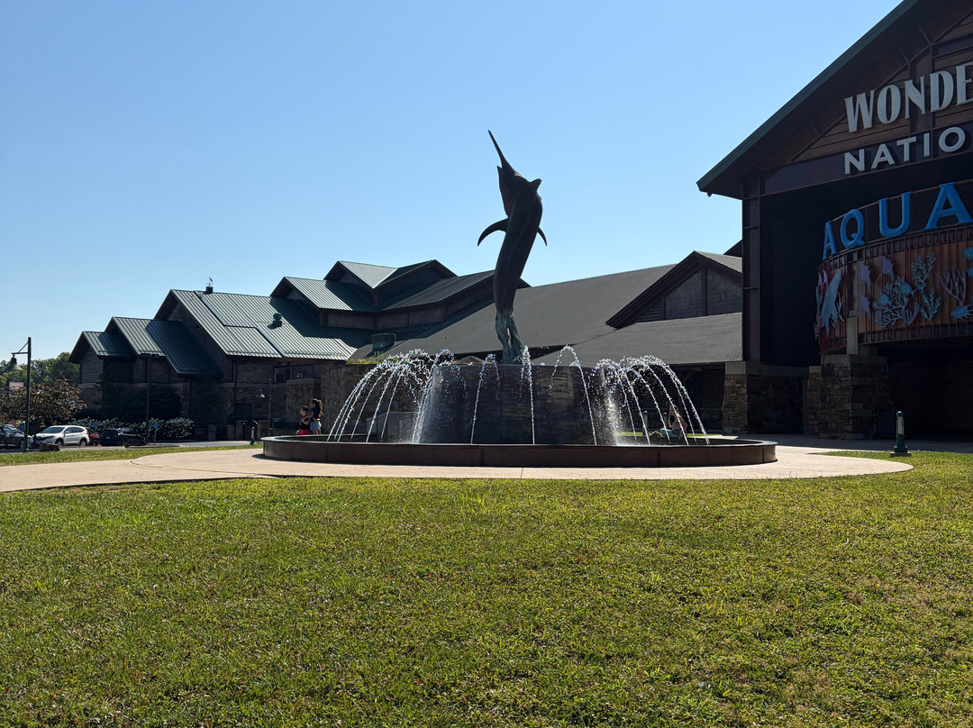 Johnny Morris' Wonders of Wildlife National Museum and Aquarium-斯普林菲尔德必去景点