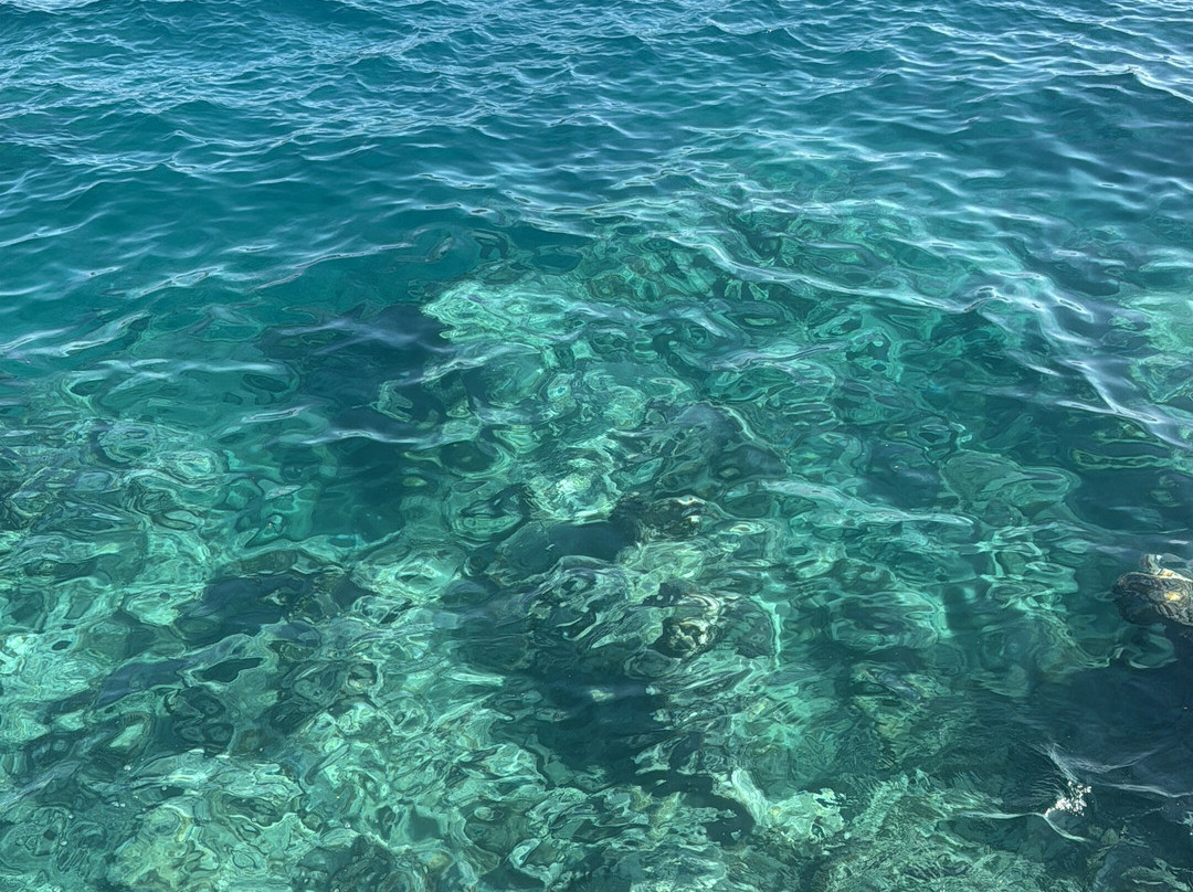 Çakıl Beach Club Kalkan-卡斯必去景点