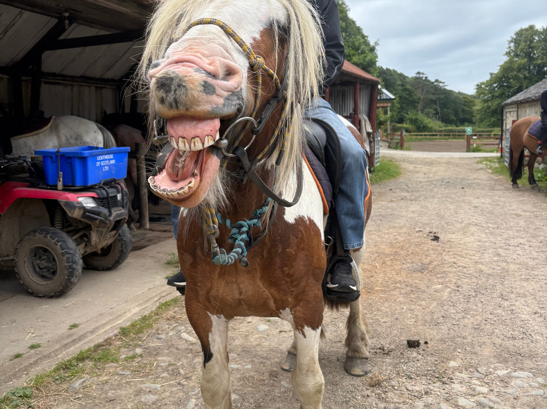 Lunga Riding Stables-Lochgilphead必去景点