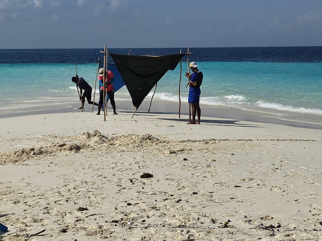 Massa Junior Zanzibar Tours & Safaris-Chwaka必去景点