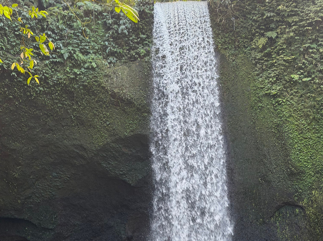 Bali Qhiu Holiday-登巴萨必去景点