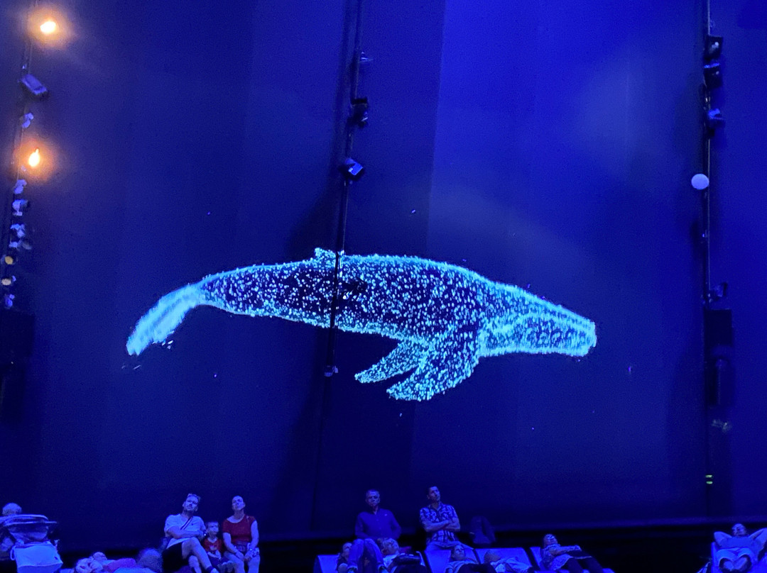 Ozeaneum-施特拉尔松德必去景点