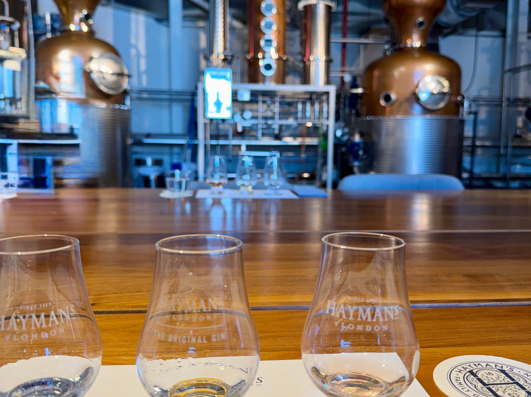 Hayman's Distillery-伦敦必去景点