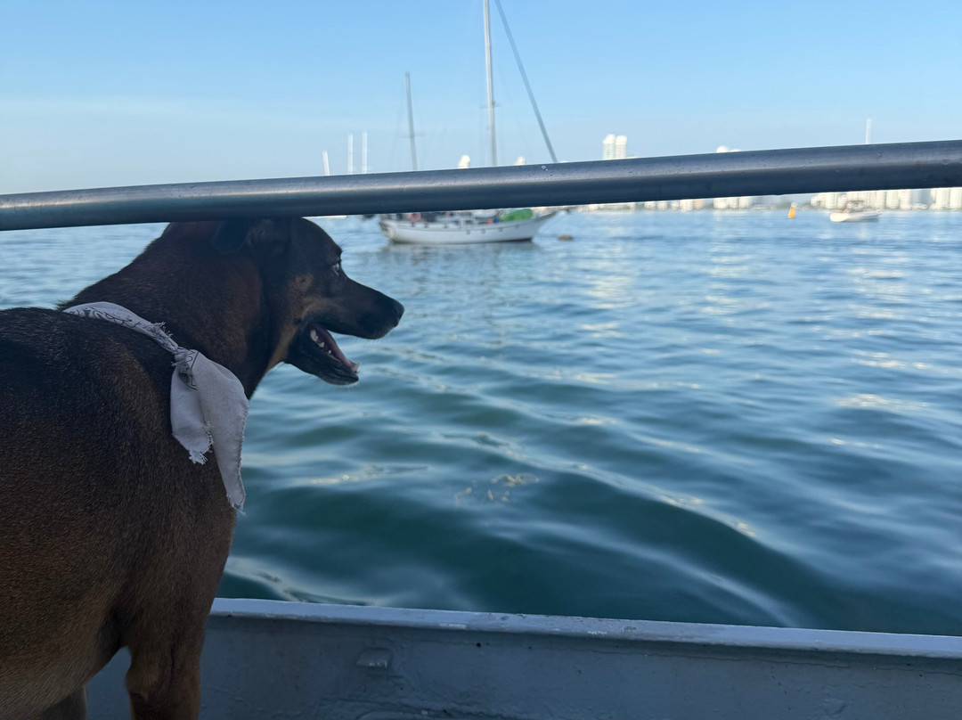 Wild Card Sailing-Puerto Lindo必去景点