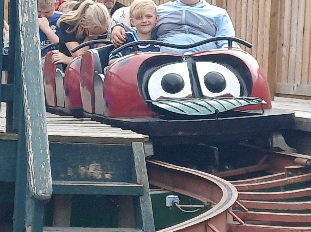 Lightwater Valley Family Adventure Park-North Stainley必去景点