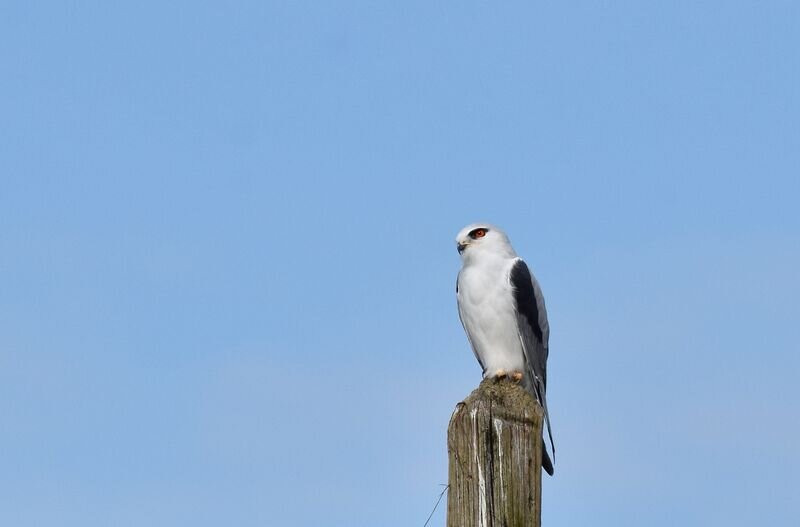 Nature Landes Pays Basque-Ondres必去景点