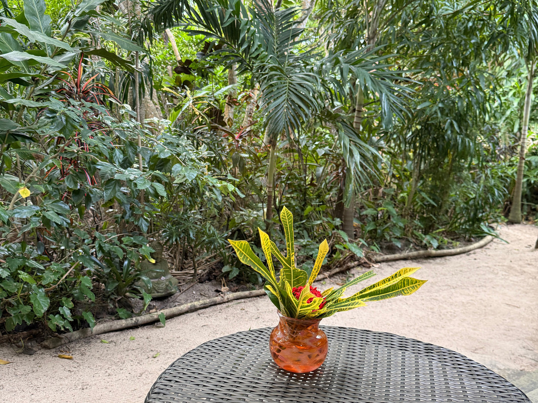 Sigatoka Spa-辛加东卡必去景点