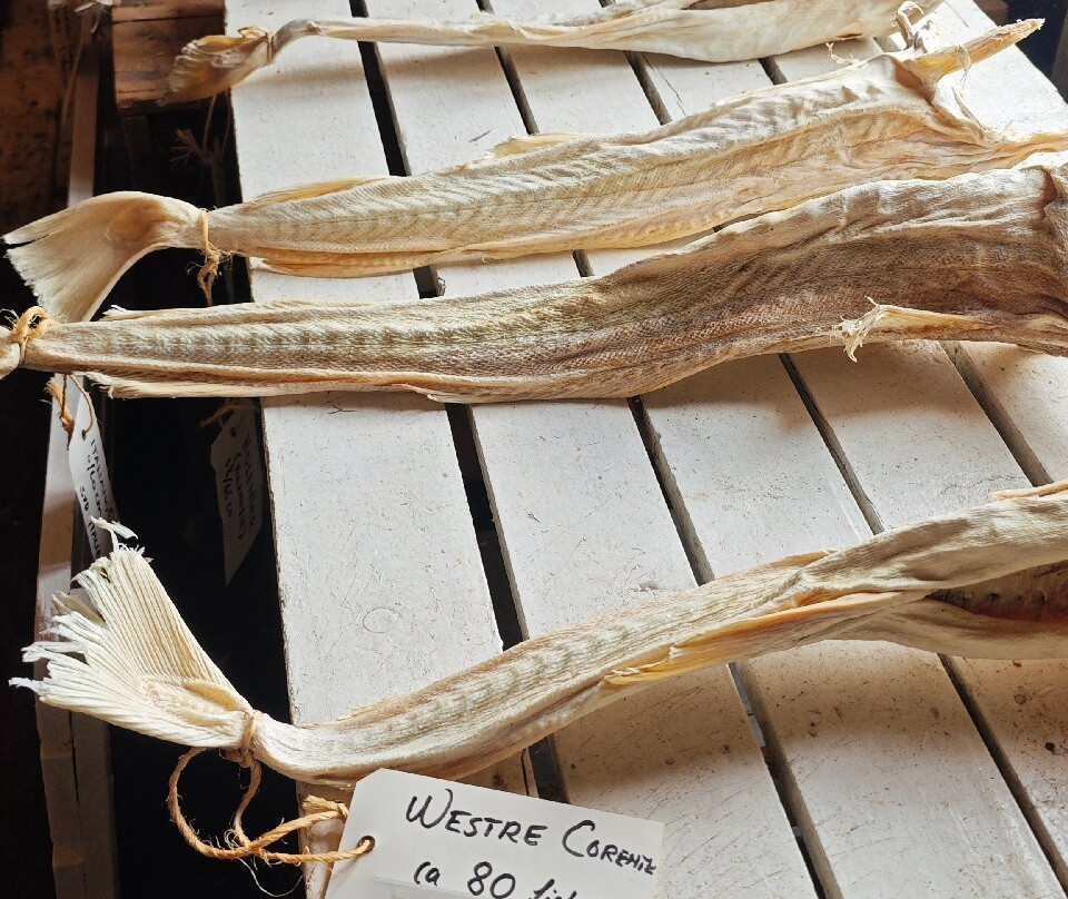 Lofoten Stockfish Museum-Moskenes Municipality必去景点