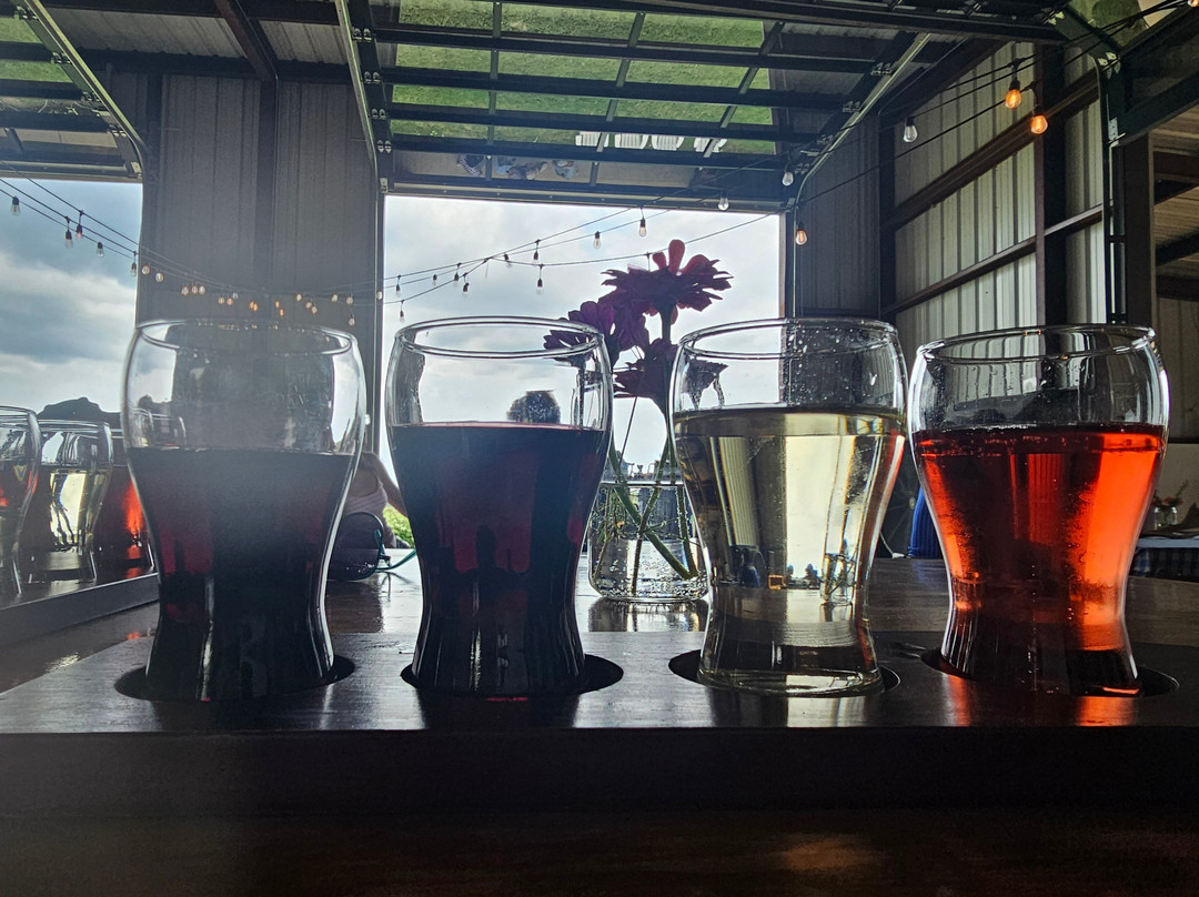 Giraffe Winery at Grapetown Vineyard-弗雷德里克斯堡必去景点