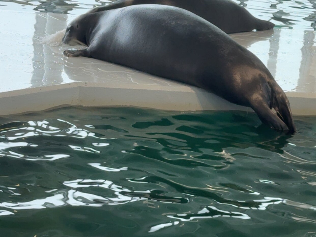 北极星水族馆-特罗姆瑟必去景点