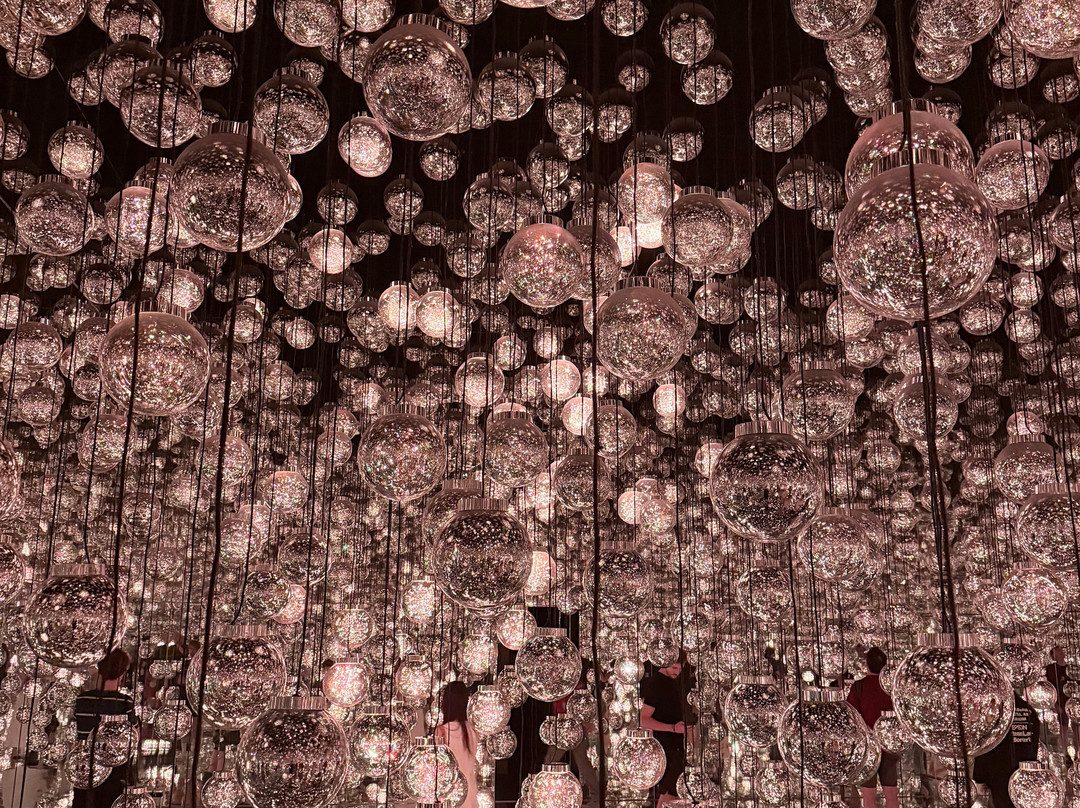 Teamlab Borderless Tokyo-港区必去景点