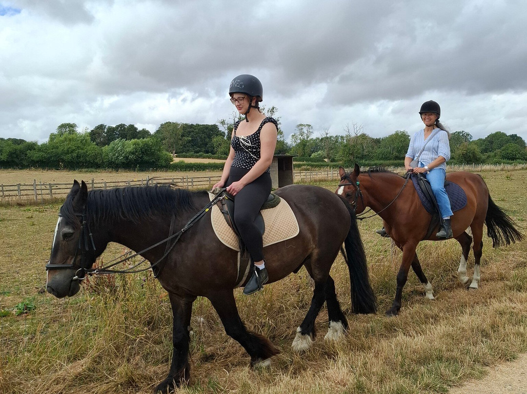Bourton Vale Equestrian Centre-水上伯顿必去景点