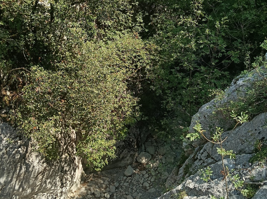 Riserva Naturale Regionale Guardiaregia-Campochiaro-Guardiaregia必去景点