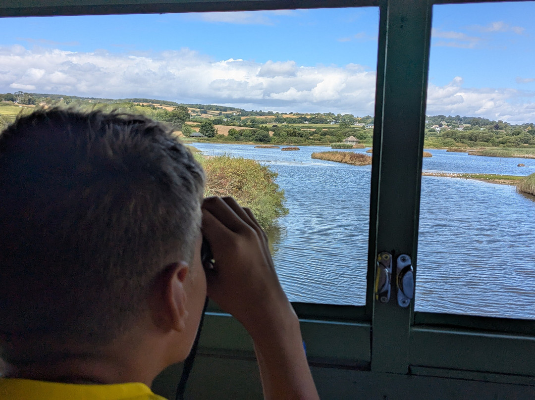 Seaton Wetlands Nature Reserve-Seaton必去景点