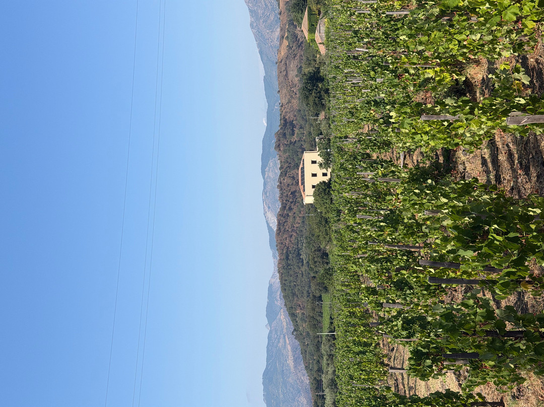 Casale 120 Winery-Rovittello必去景点