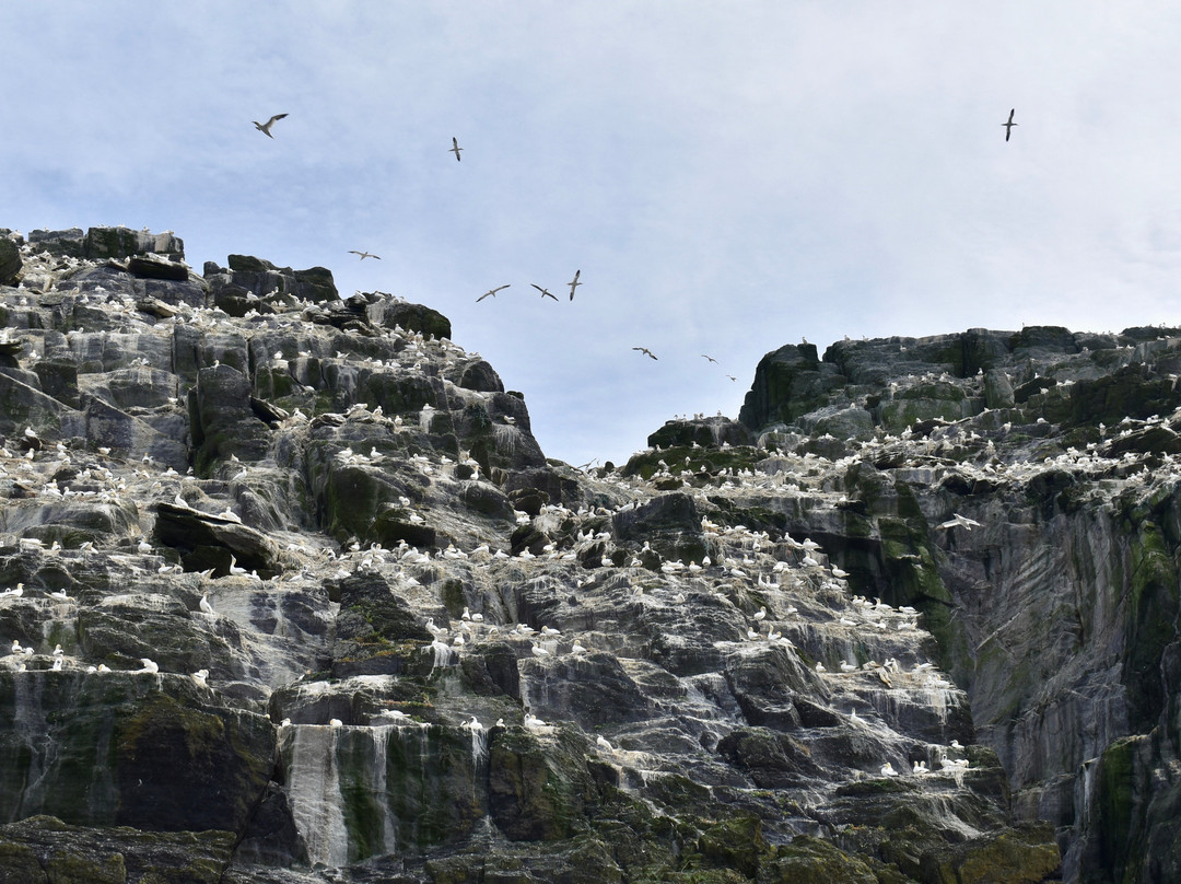 Skellig Coast Adventures-Portmagee必去景点