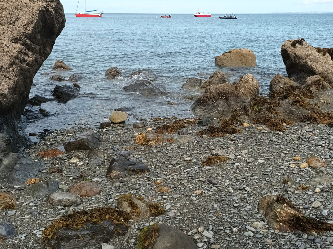 Lundy Island-比迪福德必去景点