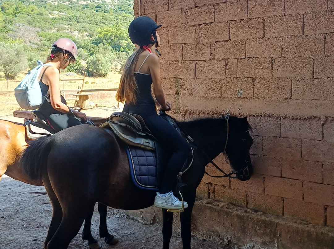 Panouris Ranch-Samos Town必去景点