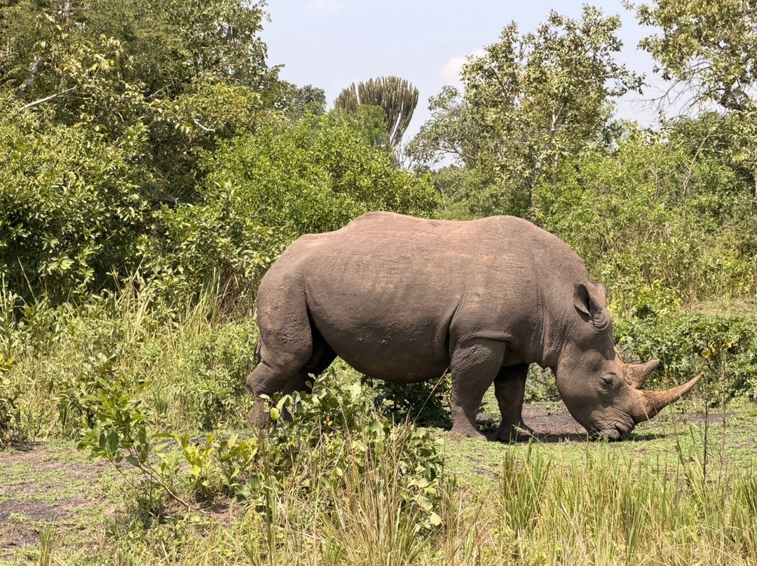 Africa Reveal Safaris-Namugongo必去景点
