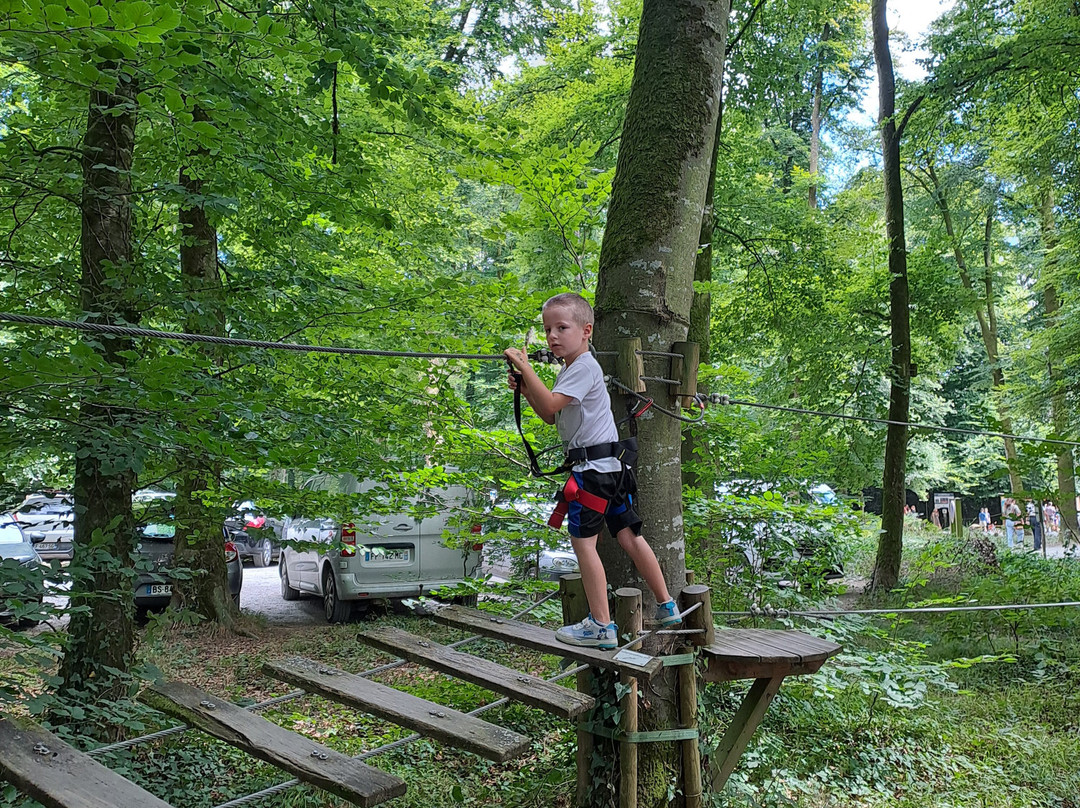 Parc des Grands Chenes-Bazouges-La-Perouse必去景点