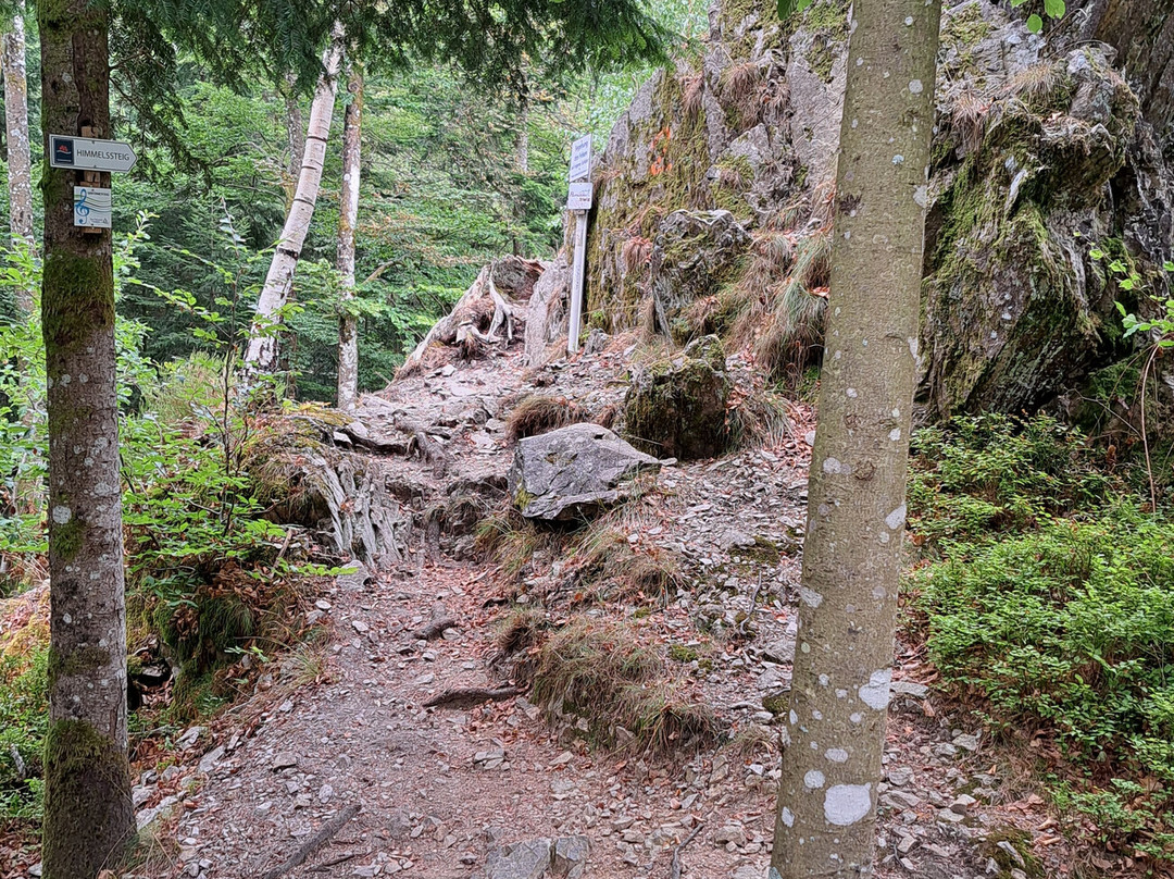 Himmelssteig-Bad Peterstal-Griesbach必去景点