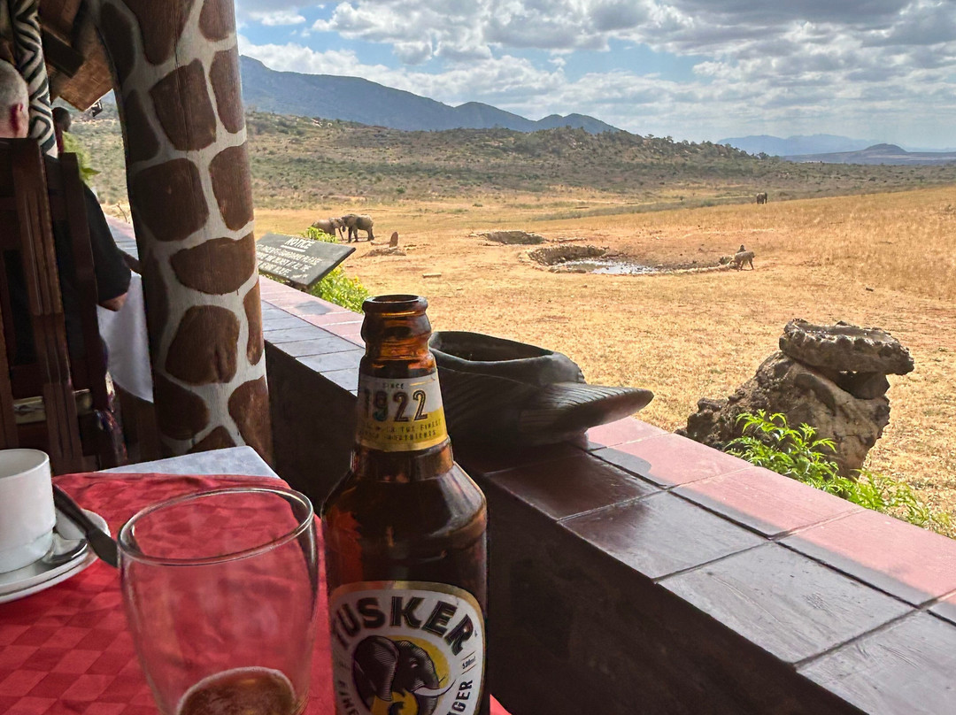 Ngulia Safari Lodge主图