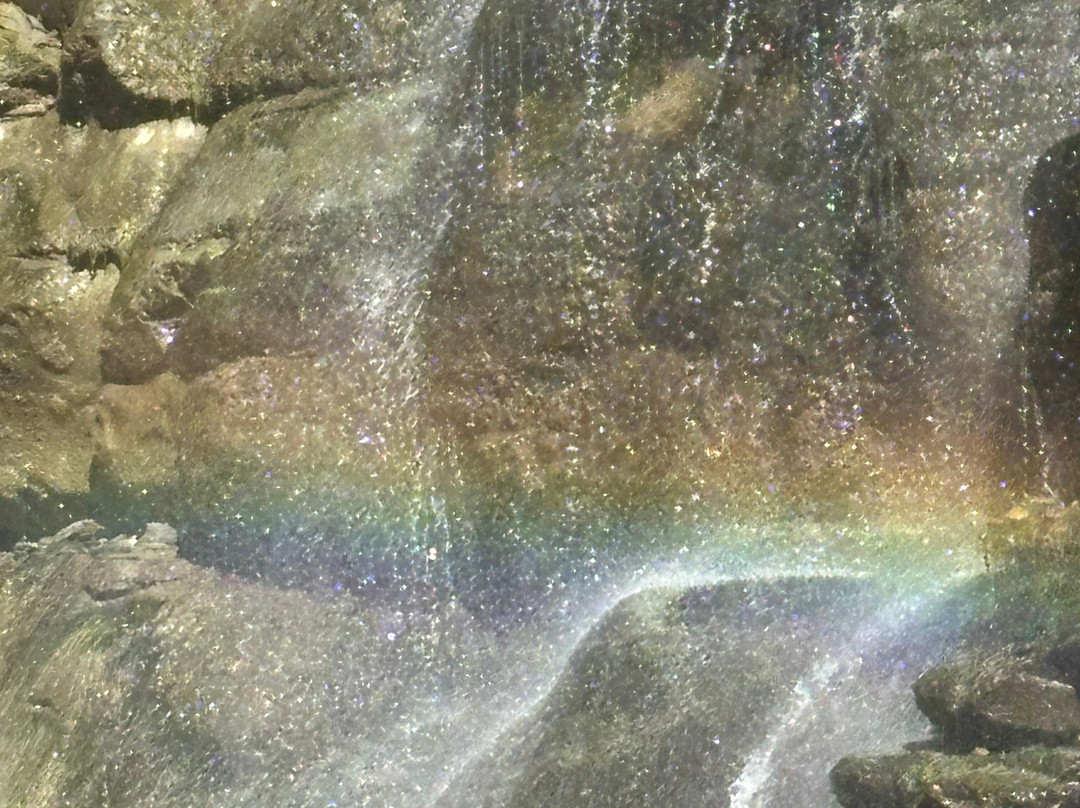 Cascata dell'Alferello-Alfero必去景点