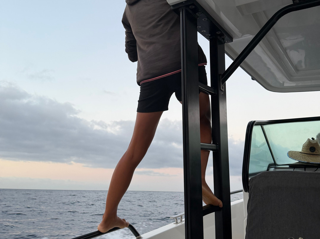 Whale Wise Eco Tours-阿坎提拉德洛斯基必去景点