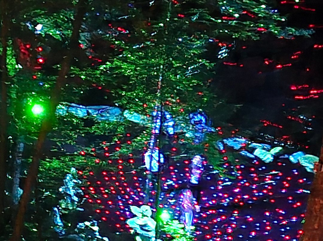 Foresta Lumina-Coaticook必去景点