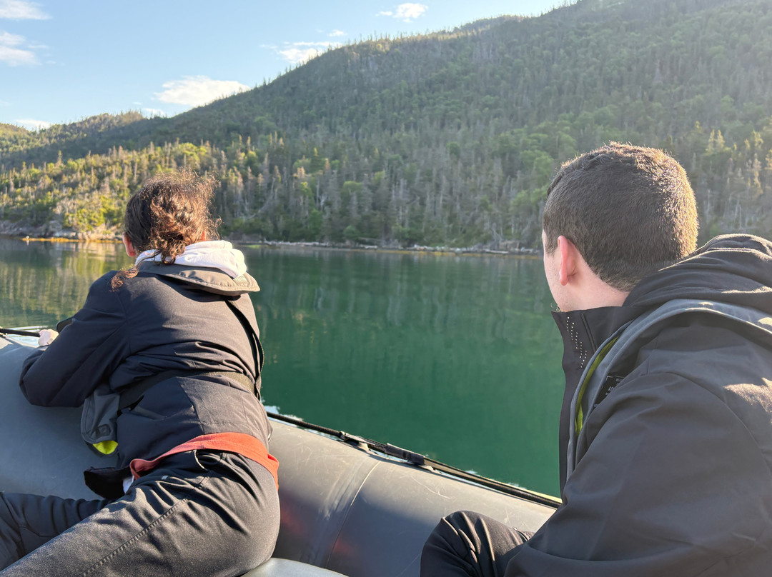 Wild Gros Morne-Trout River必去景点
