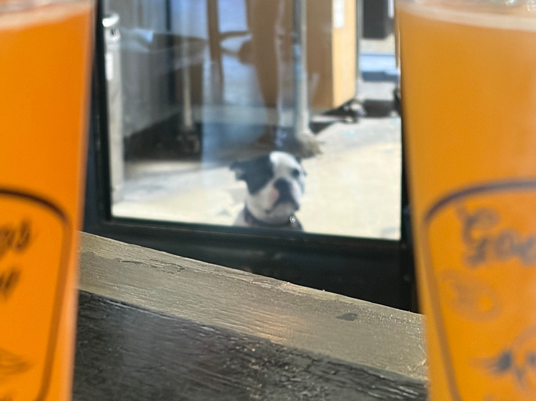 Good Hops Brewing-卡罗来纳比奇必去景点