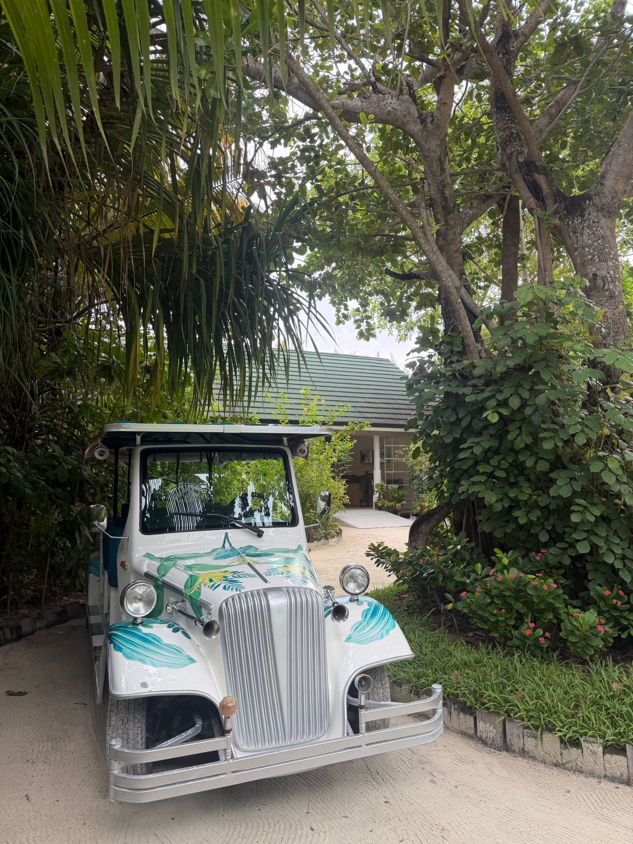 马尔代夫禧亚世嘉岛酒店-旅行者