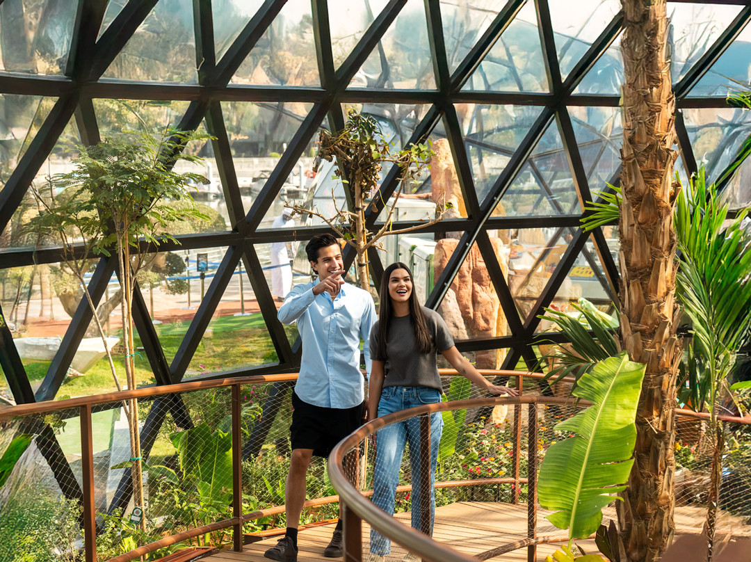 The Butterfly Gardens Abu Dhabi-阿布扎比必去景点
