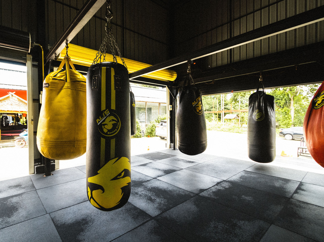 Ali's Boxing Gym