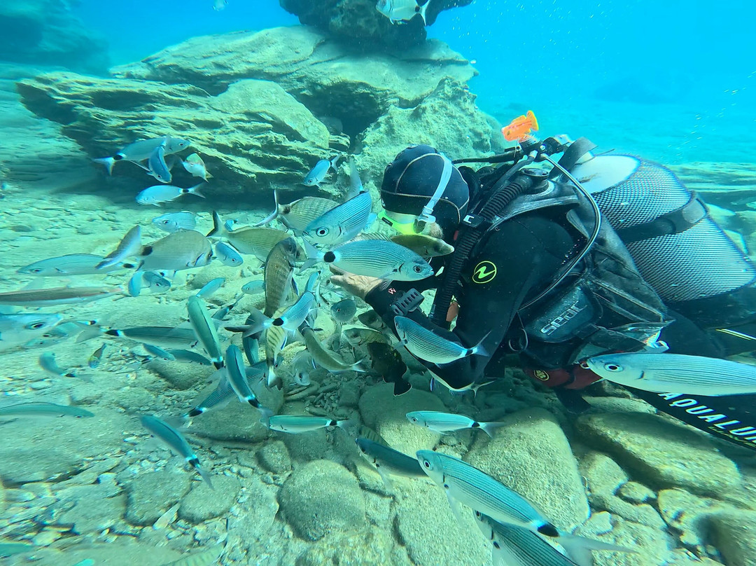 Hippocampus Dive Centre-巴厘必去景点