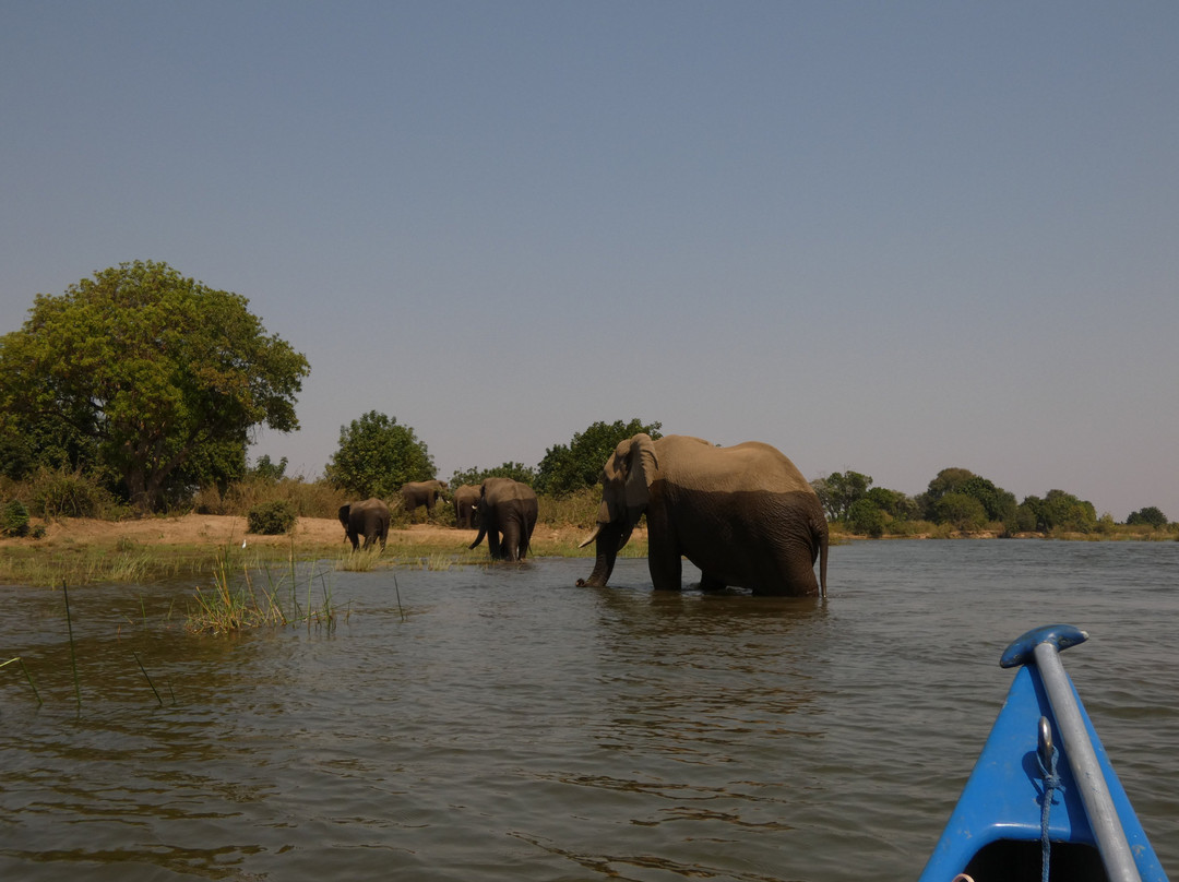 River Horse Safaris-Chirundu必去景点