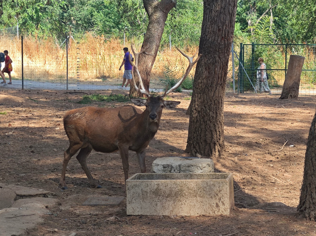 Guadalajara Zoo-Guadalajara必去景点
