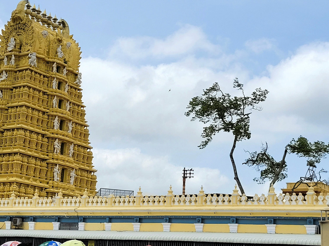 Sri Chamundeshwari Temple-迈索尔必去景点