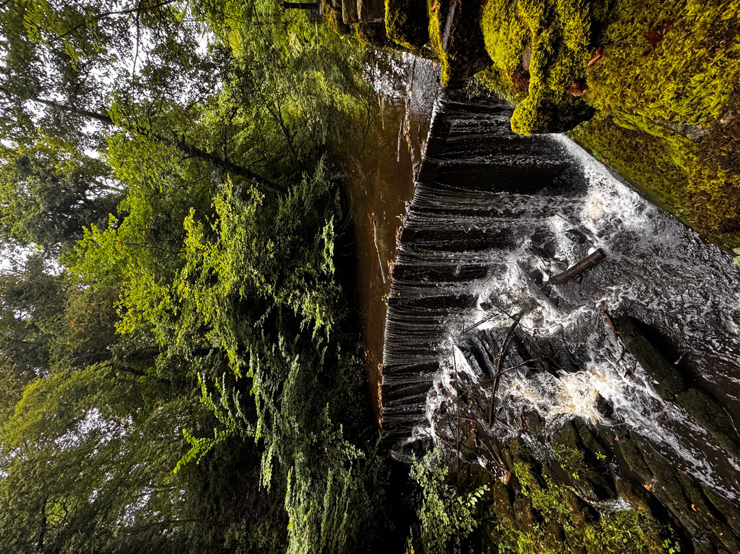 Skipton Castle Woods-斯基普顿必去景点
