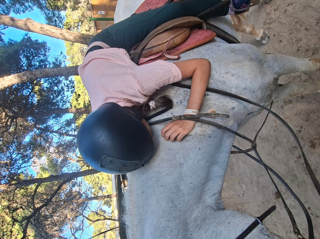 Hipico Cala Ratjada Eddi's Reitstall-Cala Ratjada必去景点