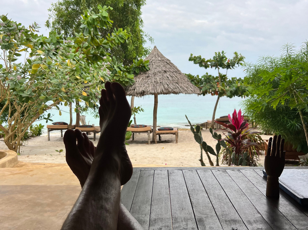 Afro Divers, Diving Center and Lodge-奔巴岛必去景点