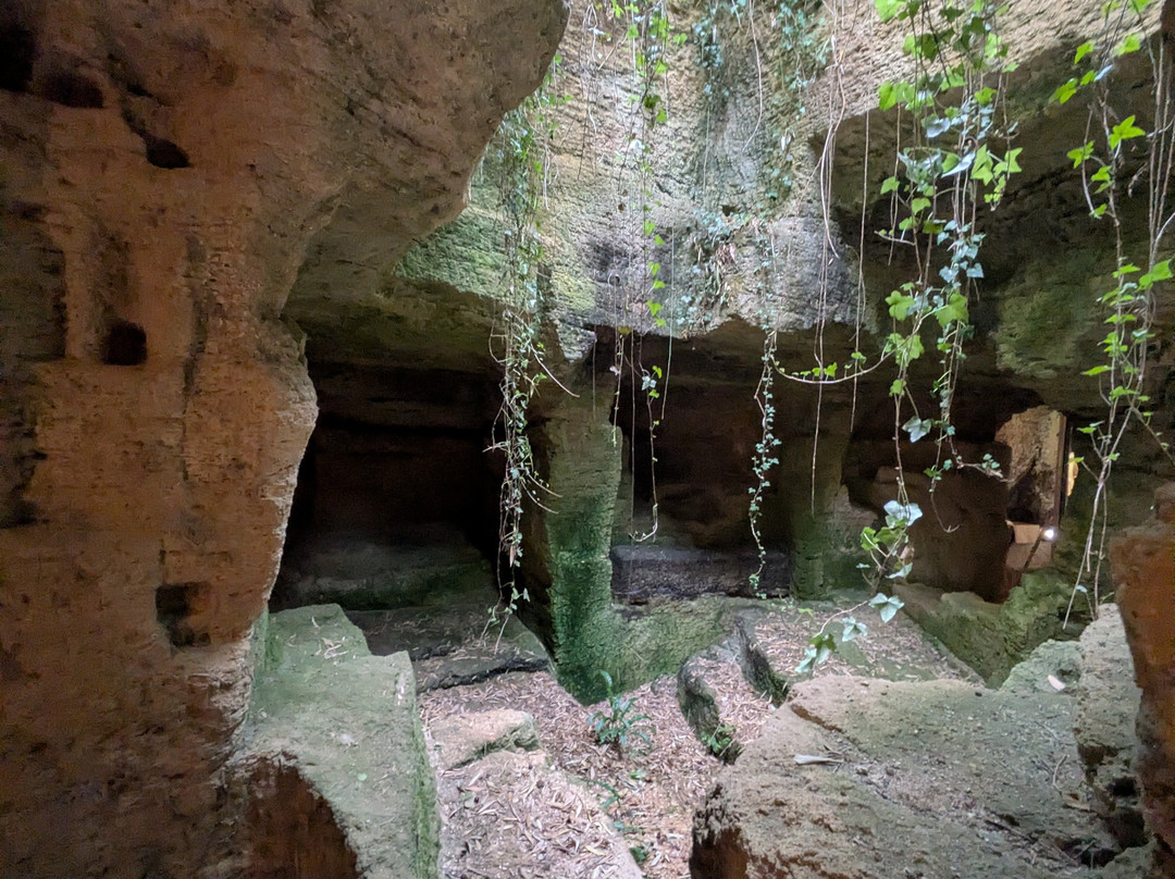 Troglodytes & Sarcophages-Doue-la-Fontaine必去景点