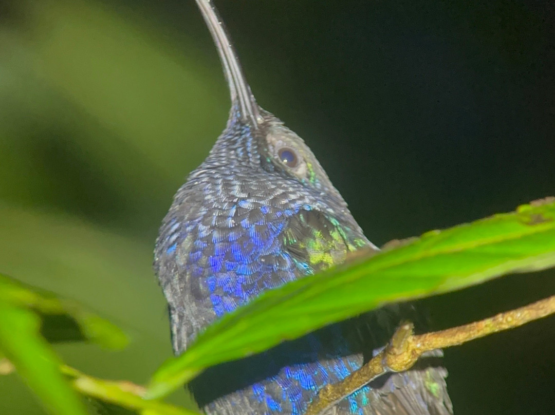 Costa Rica One On One Tours-Playas del Coco必去景点