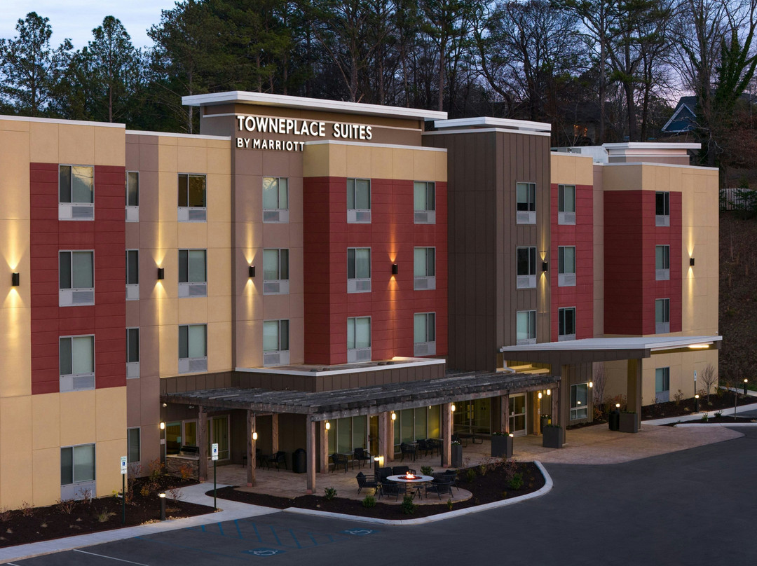 Chickamauga酒店住宿-TownePlace Suites by Marriott Chattanooga South/East Ridge