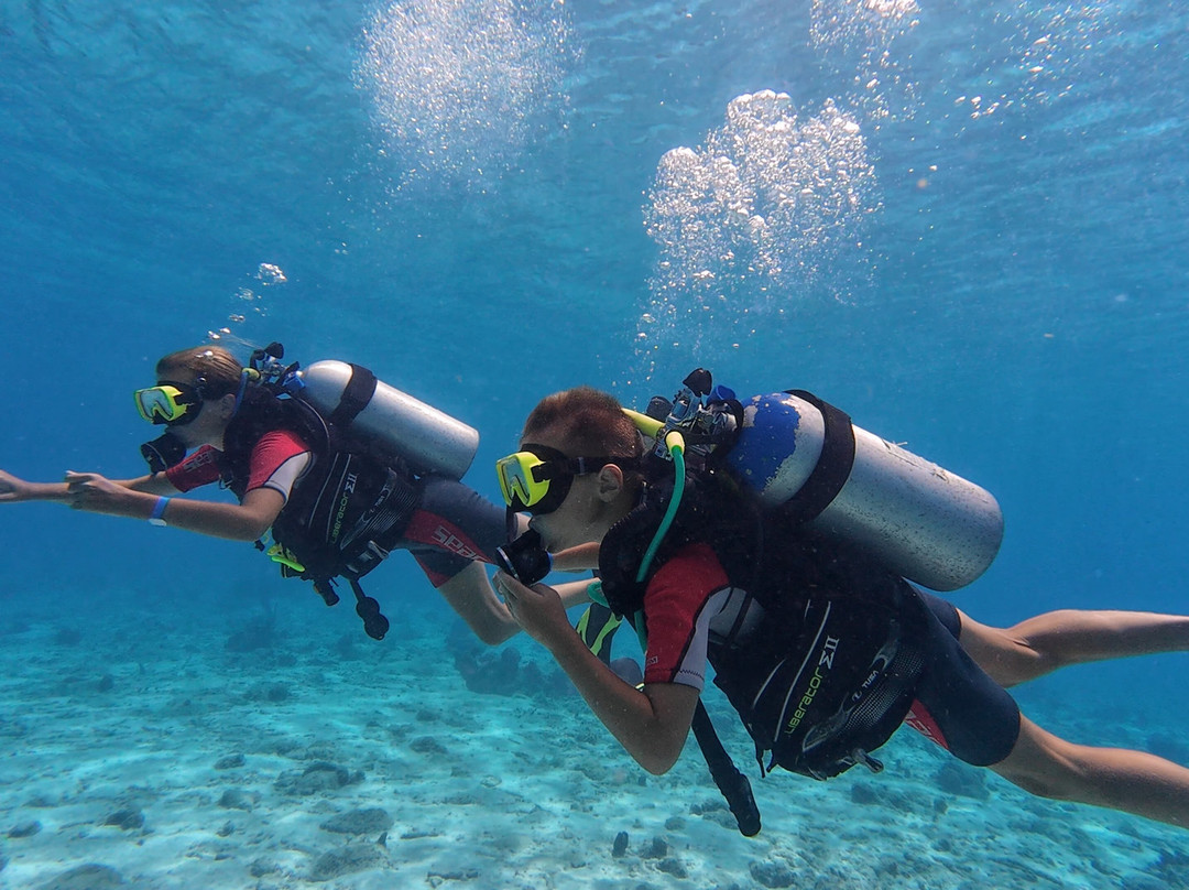 Dushi Diving-威廉斯塔德必去景点
