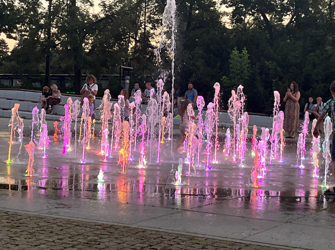 Cosmopolis Fountain-托伦古镇必去景点
