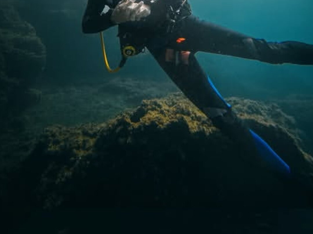 Albatros Diving-爱博纳必去景点