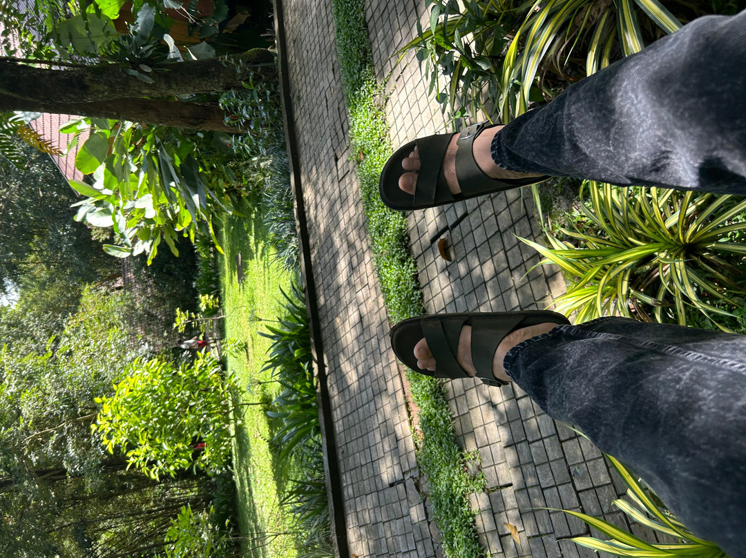 Crystal Kuruva Nature Resort & Spa主图